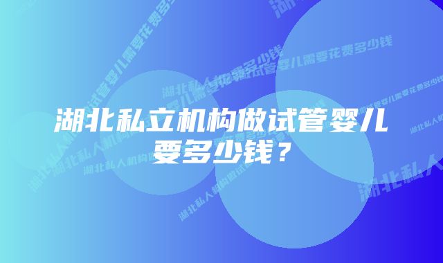 湖北私立机构做试管婴儿要多少钱？