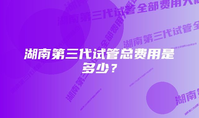 湖南第三代试管总费用是多少？