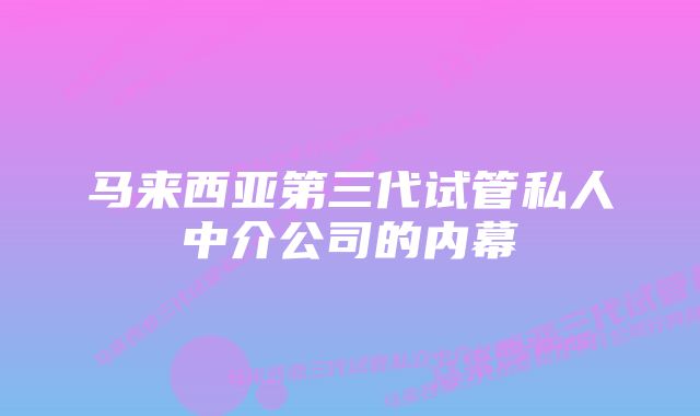 马来西亚第三代试管私人中介公司的内幕