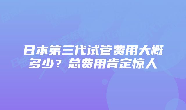 日本第三代试管费用大概多少？总费用肯定惊人