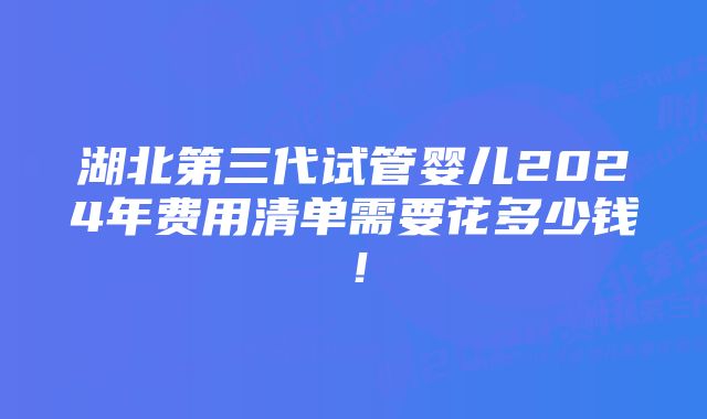 湖北第三代试管婴儿2024年费用清单需要花多少钱！