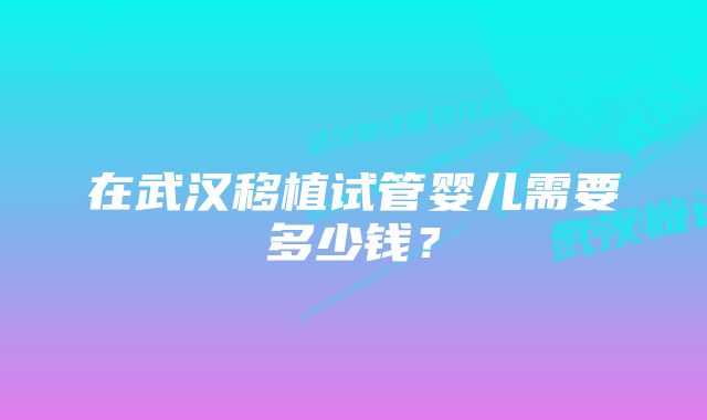 在武汉移植试管婴儿需要多少钱？