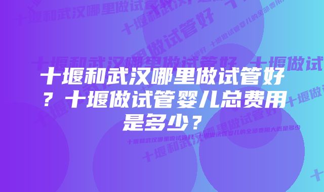 十堰和武汉哪里做试管好？十堰做试管婴儿总费用是多少？