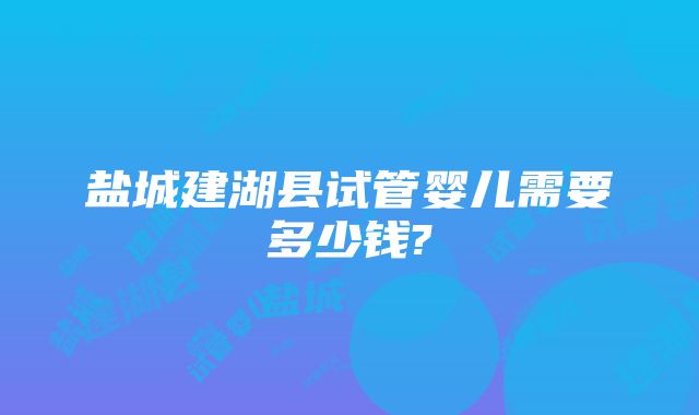 盐城建湖县试管婴儿需要多少钱?