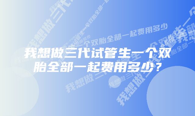 我想做三代试管生一个双胎全部一起费用多少？