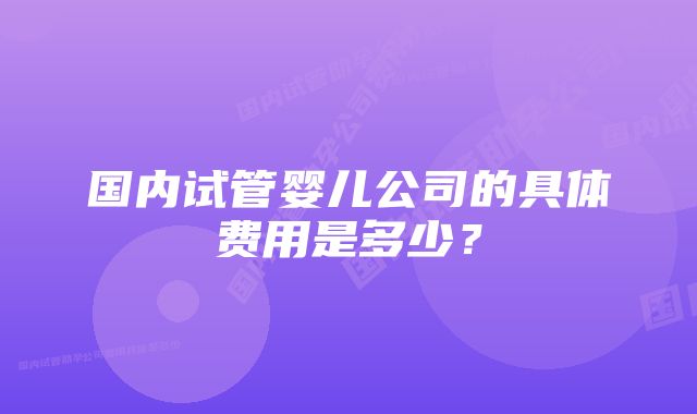 国内试管婴儿公司的具体费用是多少？