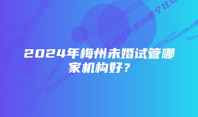 2024年梅州未婚试管哪家机构好？