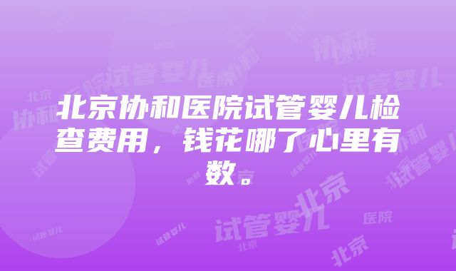 北京协和医院试管婴儿检查费用，钱花哪了心里有数。