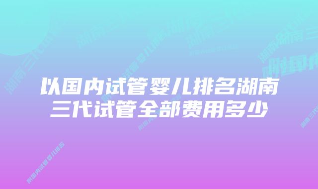 以国内试管婴儿排名湖南三代试管全部费用多少