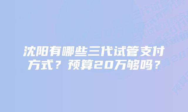 沈阳有哪些三代试管支付方式？预算20万够吗？