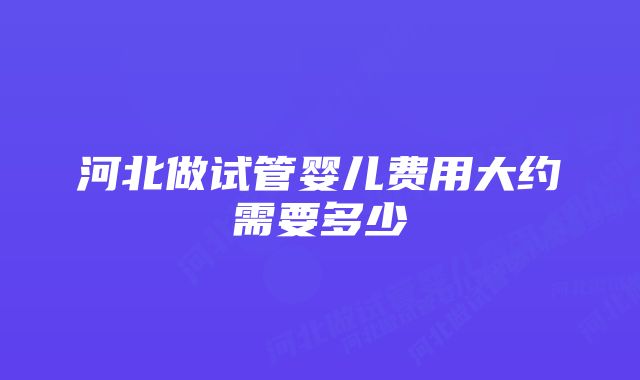 河北做试管婴儿费用大约需要多少