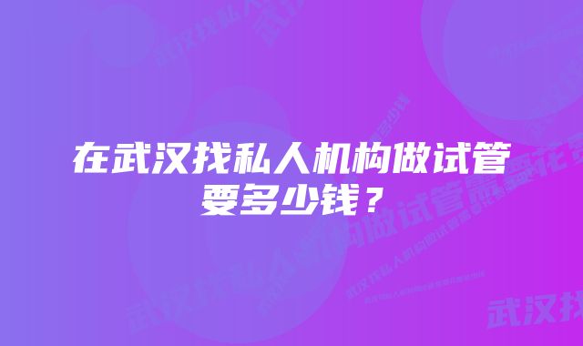 在武汉找私人机构做试管要多少钱？