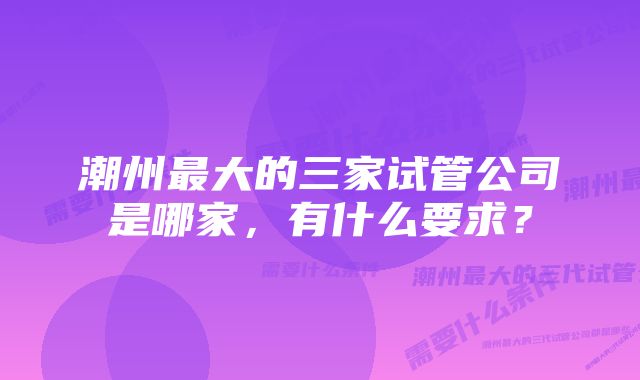 潮州最大的三家试管公司是哪家，有什么要求？