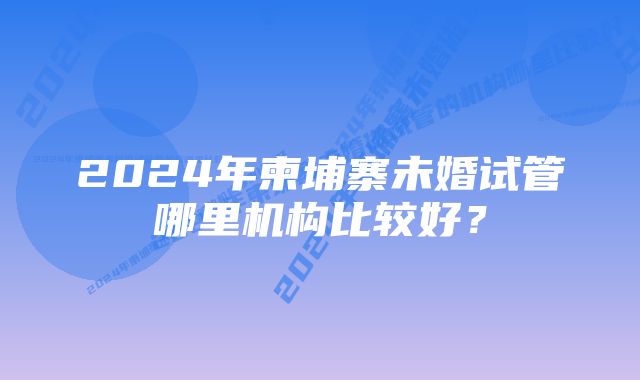 2024年柬埔寨未婚试管哪里机构比较好？