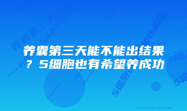 养囊第三天能不能出结果？5细胞也有希望养成功