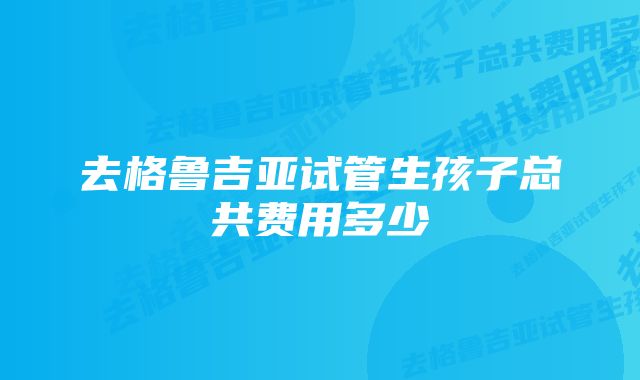 去格鲁吉亚试管生孩子总共费用多少