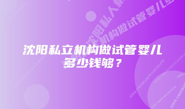 沈阳私立机构做试管婴儿多少钱够？