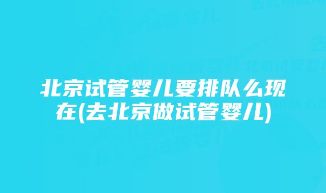 北京试管婴儿要排队么现在(去北京做试管婴儿)