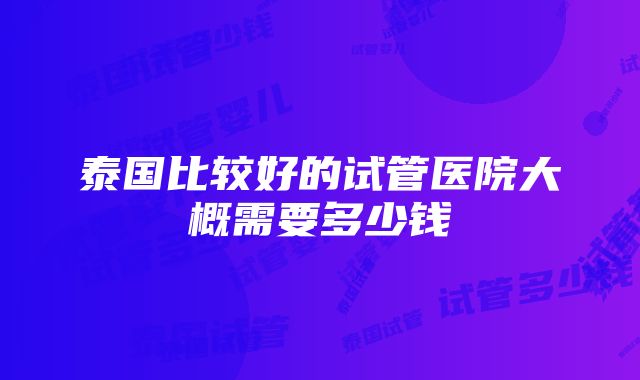 泰国比较好的试管医院大概需要多少钱