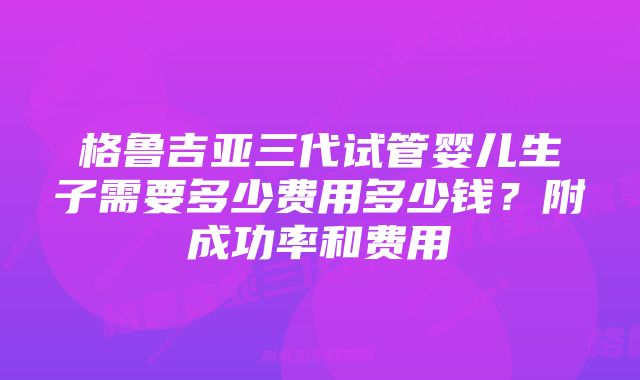 格鲁吉亚三代试管婴儿生子需要多少费用多少钱？附成功率和费用