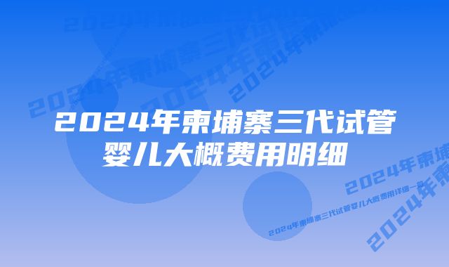 2024年柬埔寨三代试管婴儿大概费用明细