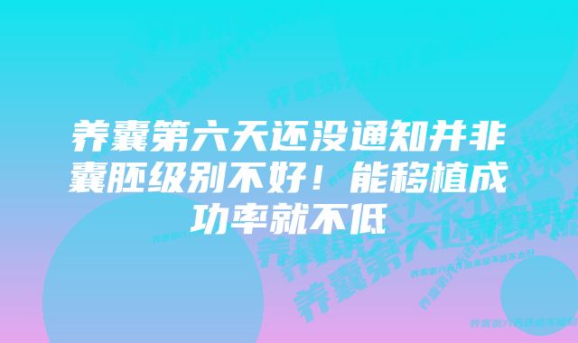 养囊第六天还没通知并非囊胚级别不好！能移植成功率就不低