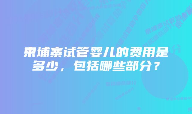 柬埔寨试管婴儿的费用是多少，包括哪些部分？