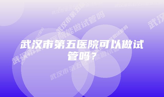 武汉市第五医院可以做试管吗？