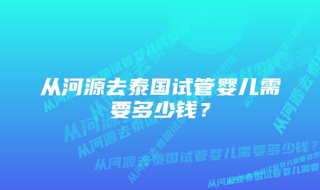 从河源去泰国试管婴儿需要多少钱？