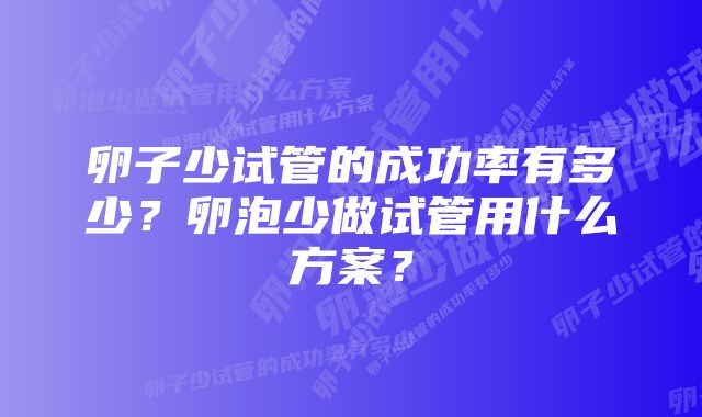 卵子少试管的成功率有多少？卵泡少做试管用什么方案？