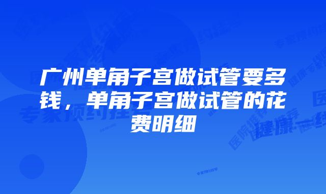 广州单角子宫做试管要多钱，单角子宫做试管的花费明细