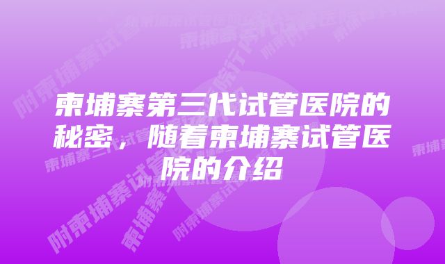 柬埔寨第三代试管医院的秘密，随着柬埔寨试管医院的介绍