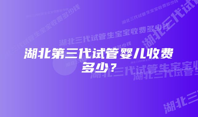 湖北第三代试管婴儿收费多少？