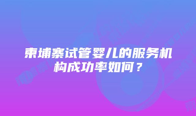 柬埔寨试管婴儿的服务机构成功率如何？