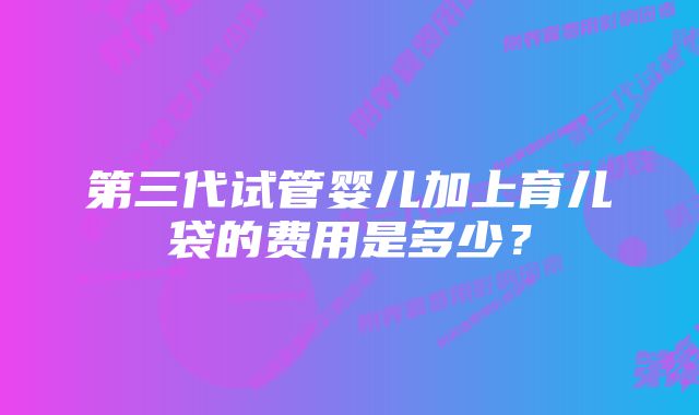 第三代试管婴儿加上育儿袋的费用是多少？