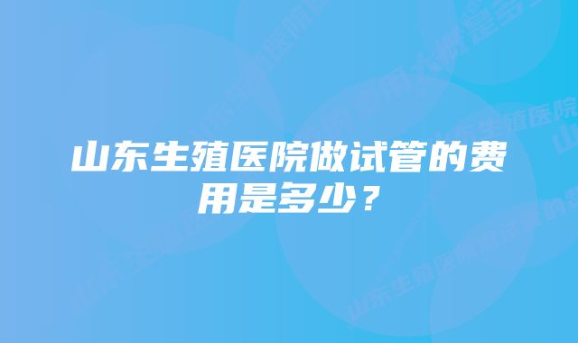 山东生殖医院做试管的费用是多少？