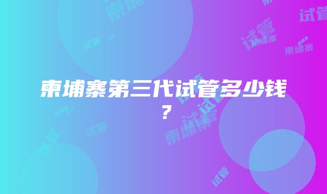 柬埔寨第三代试管多少钱？