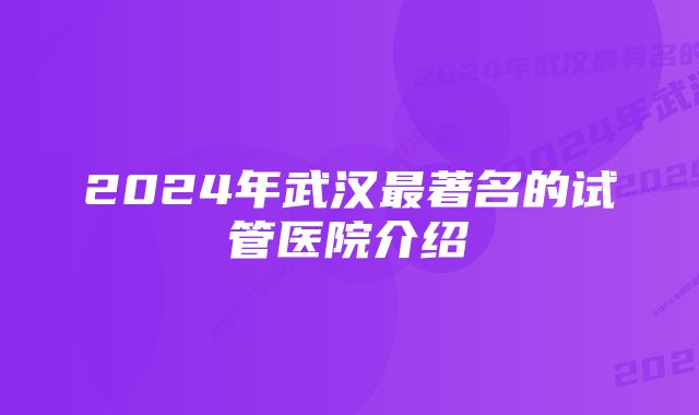 2024年武汉最著名的试管医院介绍