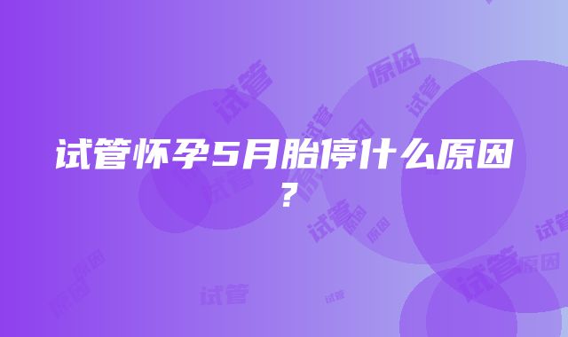 试管怀孕5月胎停什么原因？