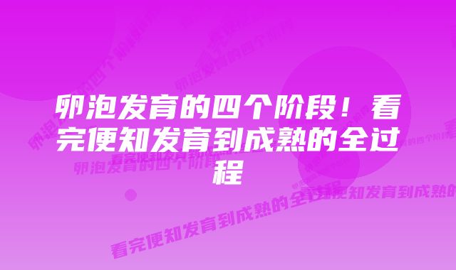 卵泡发育的四个阶段！看完便知发育到成熟的全过程