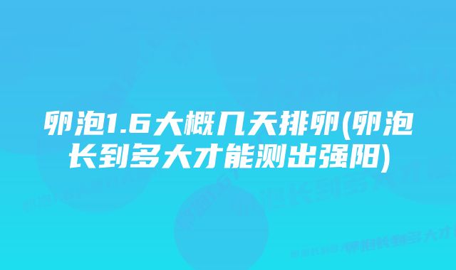 卵泡1.6大概几天排卵(卵泡长到多大才能测出强阳)