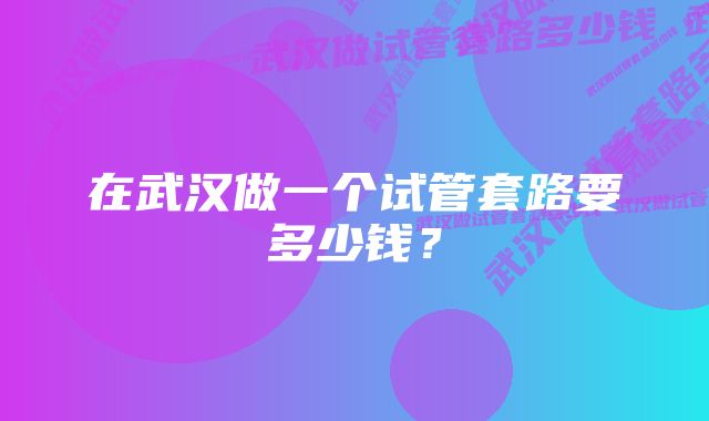 在武汉做一个试管套路要多少钱？