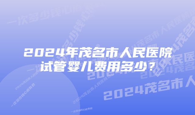 2024年茂名市人民医院试管婴儿费用多少？