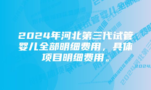 2024年河北第三代试管婴儿全部明细费用，具体项目明细费用。