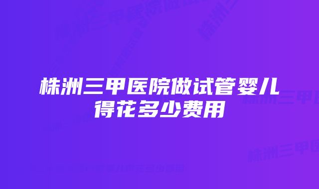 株洲三甲医院做试管婴儿得花多少费用