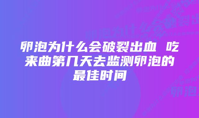 卵泡为什么会破裂出血 吃来曲第几天去监测卵泡的最佳时间