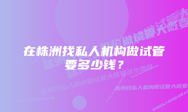 在株洲找私人机构做试管要多少钱？