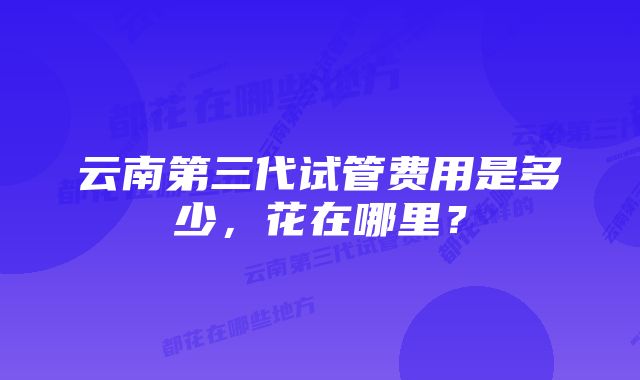 云南第三代试管费用是多少，花在哪里？