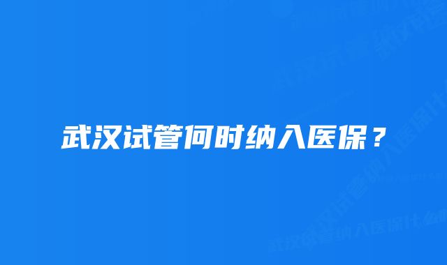 武汉试管何时纳入医保？