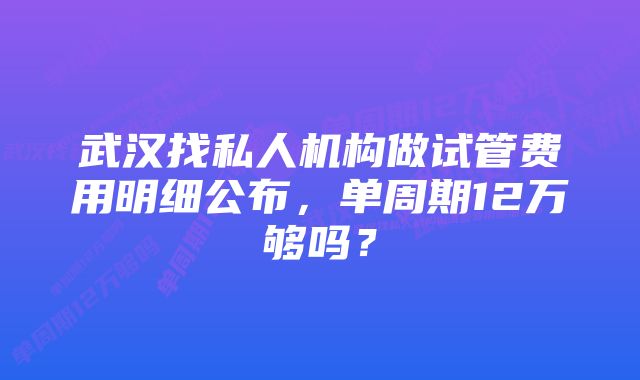 武汉找私人机构做试管费用明细公布，单周期12万够吗？